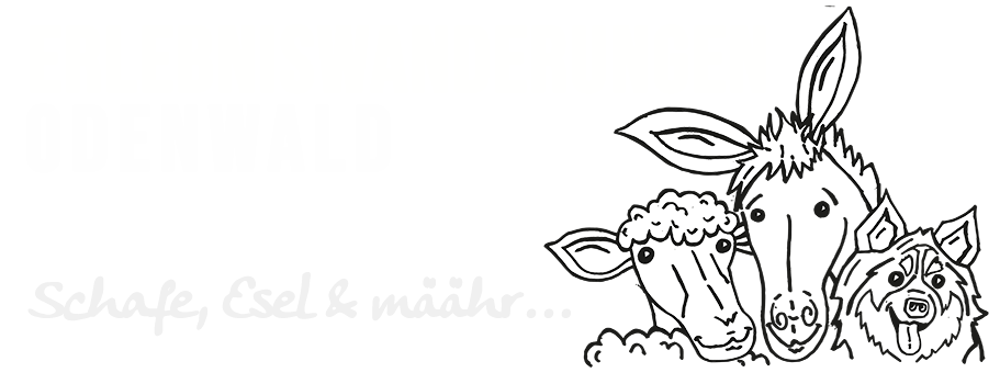 Eselwanderungen im Odenwald